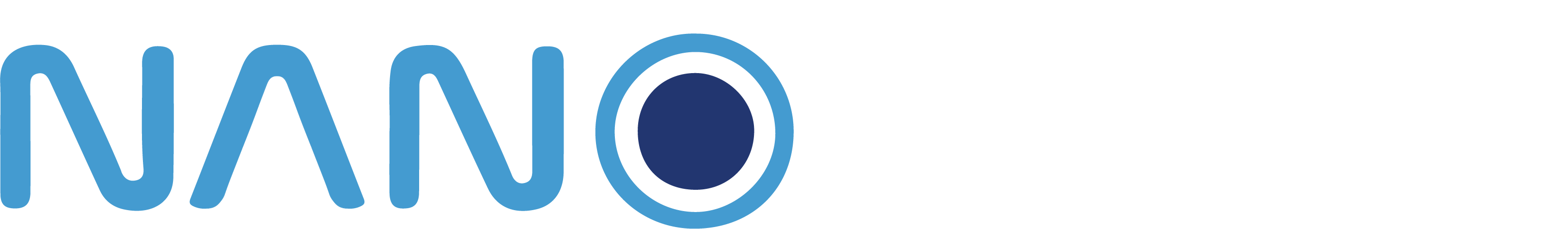 logo_nanoguru